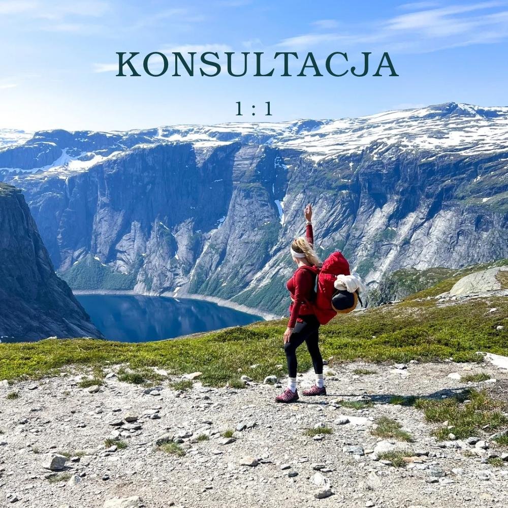 Konsultacja podróżnicza 1:1
